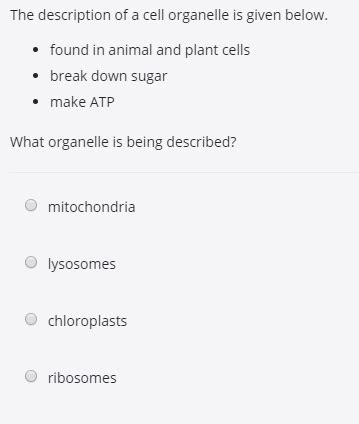 Check spelling or type a new query. Solved: The Description Of A Cell Organelle Is Given Below ...