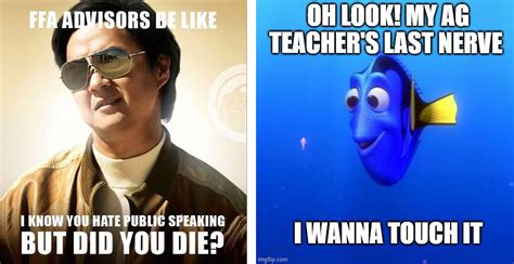 10 Of The Best Ffa Memes And Jokes On The Internet Agdaily