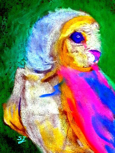 Funky Barn Owl Art Print Painting By Sue Jacobi