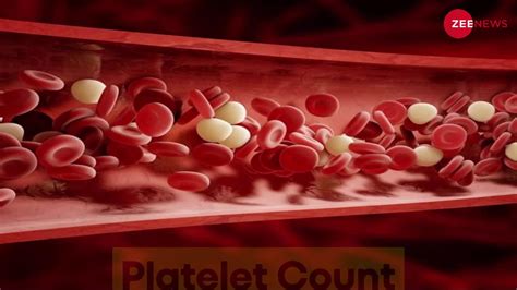Low Platelet Level Can Be Dangerous Watch Now Platelet Count कम