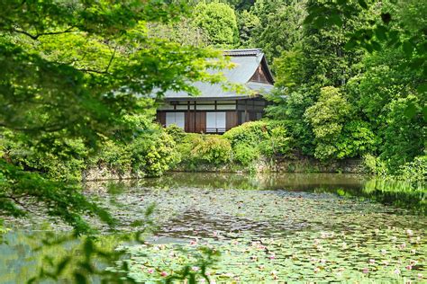Le Jardin Zen Du Temple Ryôan Ji Kyoto Japon Létang Ky Flickr