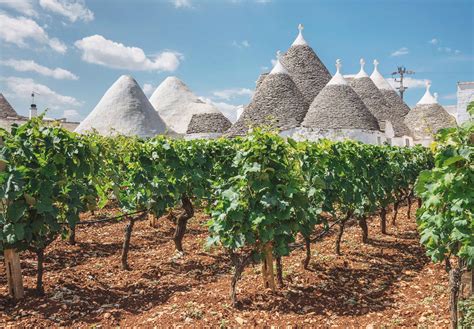 A Guide To Wine Tasting In Puglia Italy