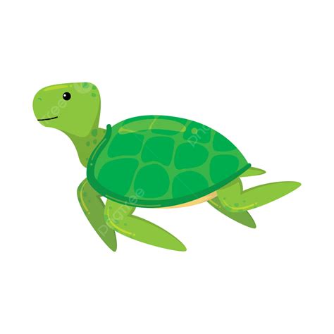 Cartoon Turtle Illustration Swimming Vector Turtle Swimming Cartoon