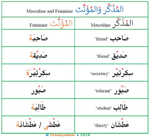 arabic masculine and feminine vocabulary arabic language blog