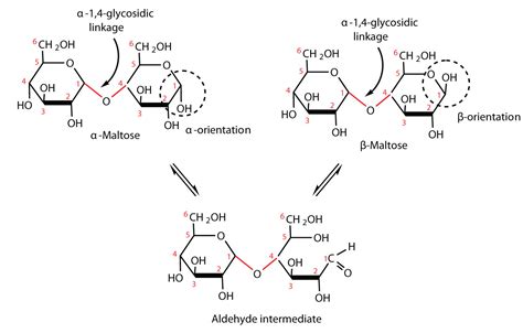 69 Galactose Structure And Function Structureofgalactose1