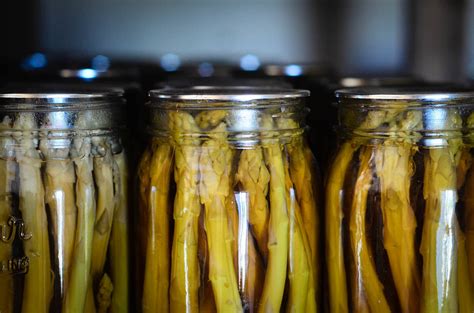 Recipes + info ?search= inurl:asp : The Best Pickled Asparagus Recipe - The Elliott Homestead