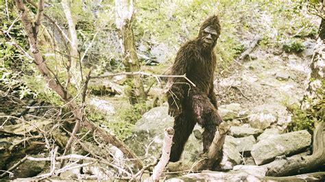 Man Who Fired Gun In Park Was Trying To Kill Bigfoot