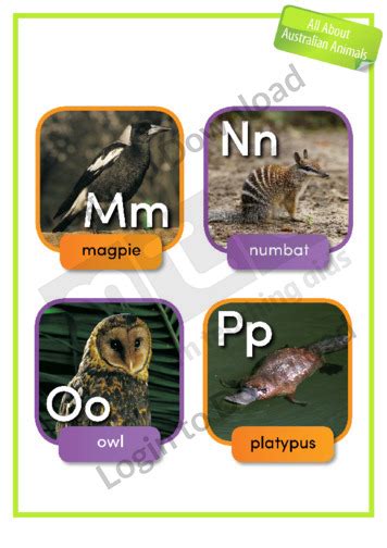 Lesson Zone Au A To Z Australian Animals