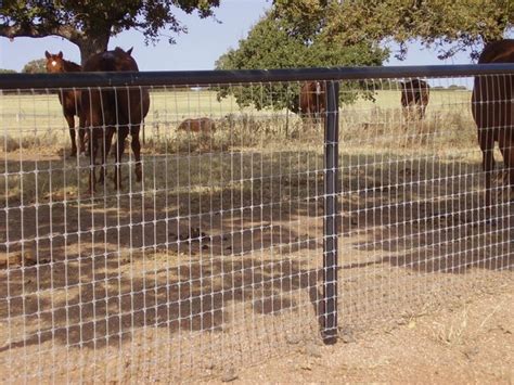60 Inch No Climb Horse Fence Black Property And Real Estate For Rent