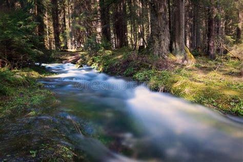 Mountain Stream In Spring Stock Photo Image Of Hydrological 246411300