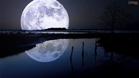 Imagensnet Noite De Lua Cheia Night Of The Full Moon