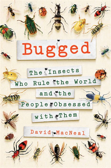 Types Of Insects For Kids