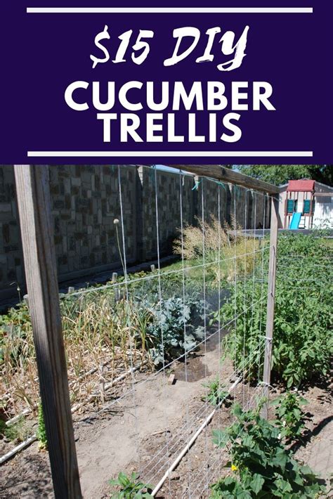 Simple Cucumber Trellis For Only 15 Our Stoney Acres