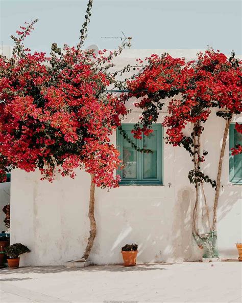 15 Incredible Things To Do On Paros Island Greece The Common Wanderer