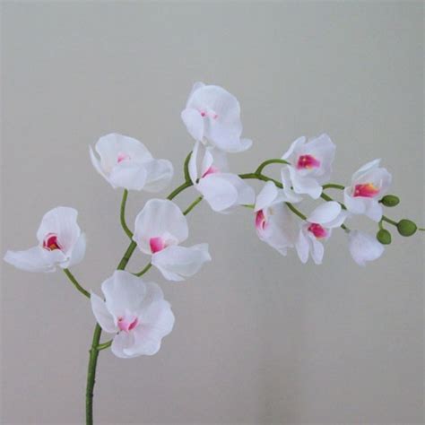 Real Touch Artificial Phalaenopsis Orchids White And Pink 102cm