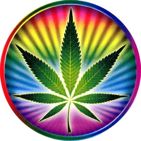 Psychedelic Pot Leaf Bumper Sticker Decal Peace Resource Project