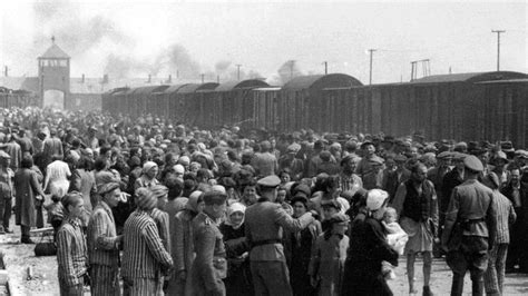 Auschwitz Las Imágenes Salvadas Del Holocausto Judío Nius