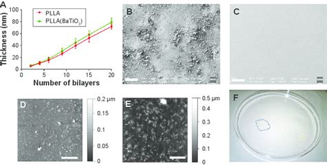 As nouns the difference between film and nanofilm. Morphological and surface characterization of PLLA nanofilm after drug... | Download Scientific ...