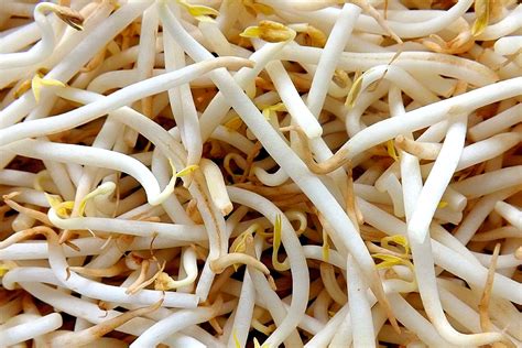 Bean sprouts are filled with an impressive list of vitamins, minerals, enzymes and organic compounds. 11 POWERFUL BENEFITS OF MUNG BEANS