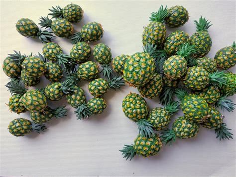 Pineapple beads Pineapple charm polymer clay jewelry | Etsy | Polymer