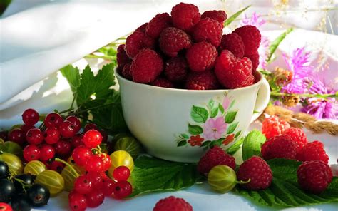 We did not find results for: Red Fruits raspberry and Cherry HD Wallpapers | Hindi ...