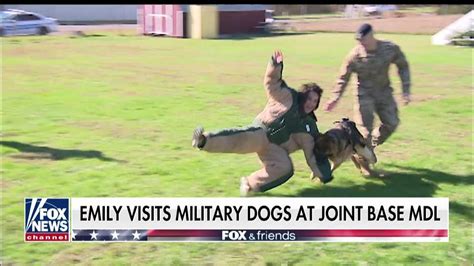 Emily Compagno Visits Military Dogs At Joint Base Mdl Fox News Video