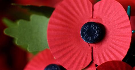 World War I Centenary One In Six Poppies Will Be Gold Leaf This Year
