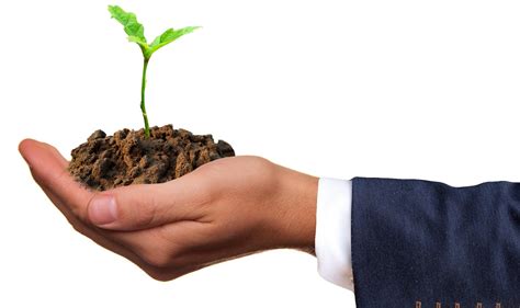 How Entrepreneurs Can Go And Stay Green In 2020 Small Business