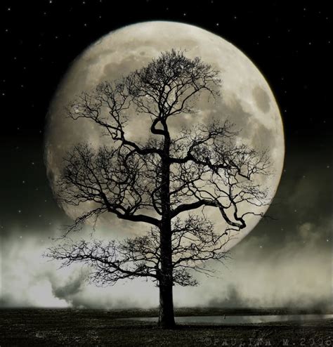 Tree Moon Black White Gothic Clipart 20 Free Cliparts Download Images