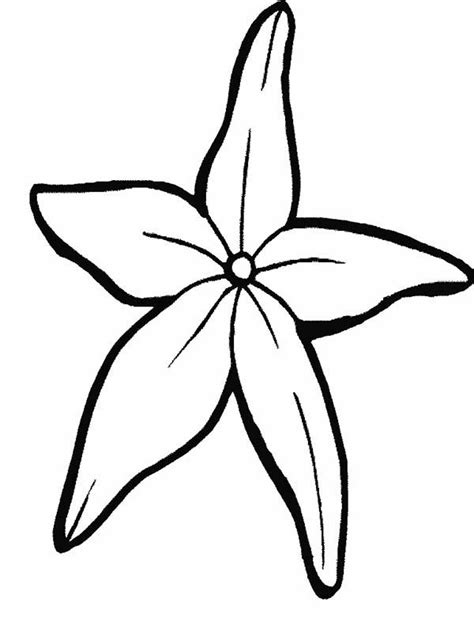 4 use the colored starfish pictures for flash cards,. Fantastic Starfish Coloring Page : Kids Play Color