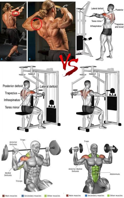 How To Delts Exercises Sets And Reps Guide