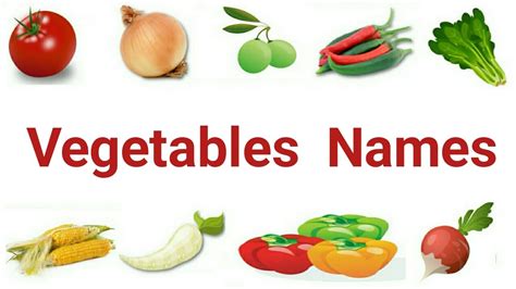 Vegetables Names In English And Urdu 2 Sn Khola Youtube