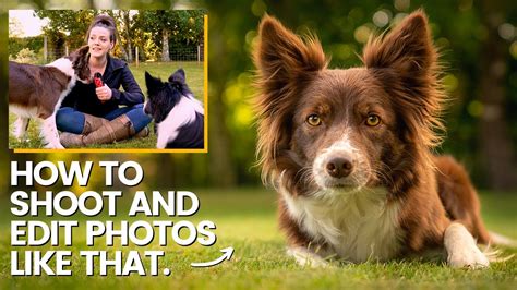 How To Edit Your Dog Pics At Home Pet Rescue Blog