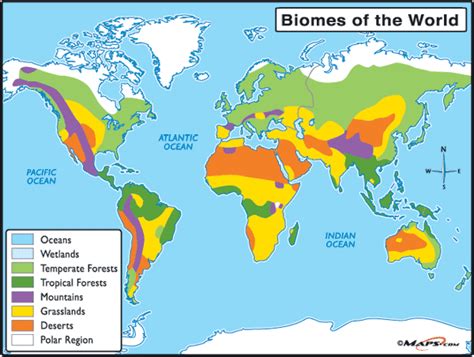 Learn About The Different Biomes Discovery Express