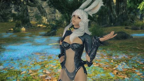 Final Fantasy Xiv Shadowbringers Expansion New Viera Race Reveal