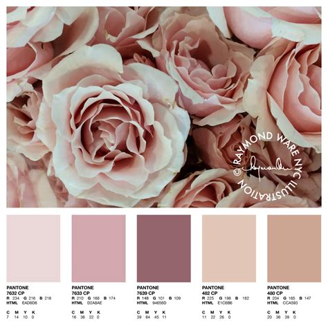 Pantone Perfection Blush Rose Palette