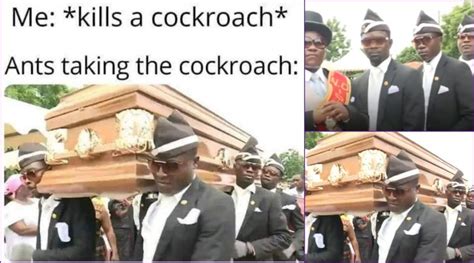 funeral dance video funny memes and s ghana s dancing pallbearers carrying coffin are ‘best