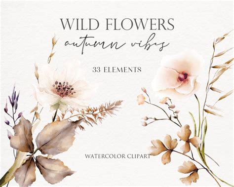Wildflowers Autumn Watercolor Clipart Floral Botanical Etsy