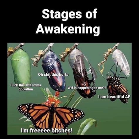 Ahhh the spiritual awakening🤣 | Awakening, Spiritual awakening, Funny