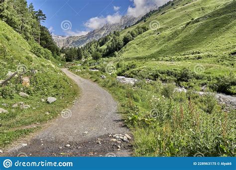 Road In The Mountains Between Green Alpine Meadows And A Mountain River