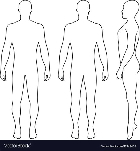 Male Human Body Outline Template Body Template Body Outline Outline
