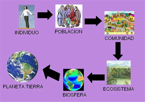 Ecologia