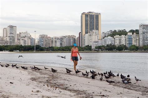 Brazil Rio De Janeiro Guanabara Bay Pollution News Ghana