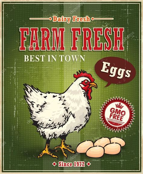 Vintage Farm Fresh Chicken Egg Label Poster — Stock Vector © Donnay