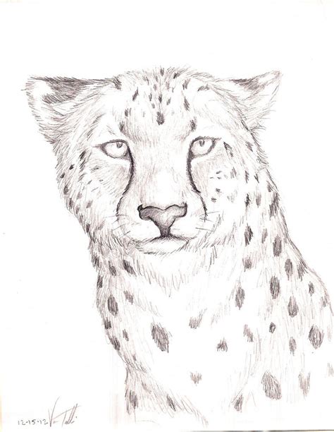 Cheetah Drawing Easy Face Baby Cheetah By Zdrer456 On Deviantart