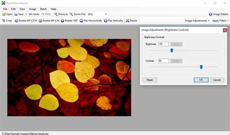 Free Picture Resizer Latest Version Get Best Windows Software