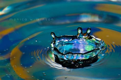 water macro photography by monica wilkinson 2 click community blog helping you take better