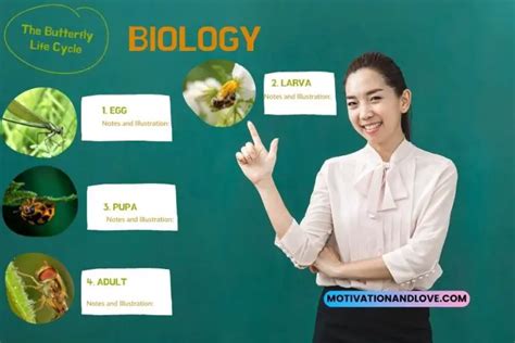 Quotes For Biology Teacher Motivation And Love