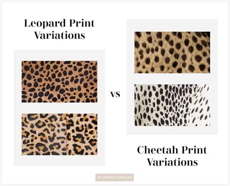 Cheetah Print Vs Leopard Print The Difference Chic Outfits