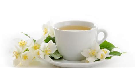 beyaz Çayın faydaları nelerdir besinler ve beslenme